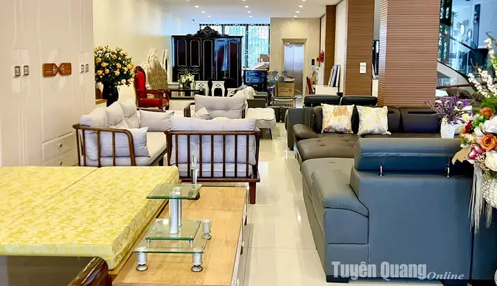 Công Ty Nội Thất Thao Tran: Lựa Chọn Đáng Cân Nhắc Cho Không Gian Sống?