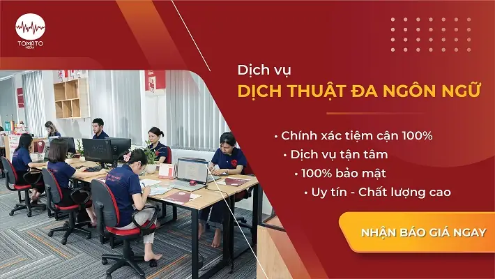 Công Ty Nội Thất Tomato: Đánh Giá Chi Tiết Có Nên Lựa Chọn?