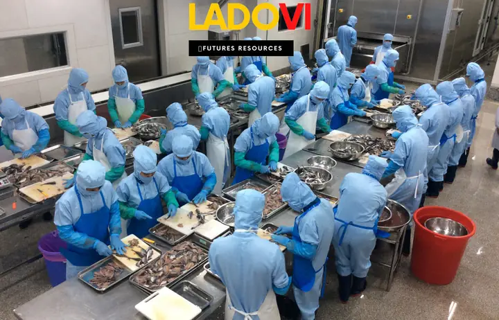 Cung Ứng Lao Động Khu Công Nghiệp Kim Huytừ Ladovi Cung Ứng Lao Động Khu Công Nghiệp Kim Huytừ Ladovi