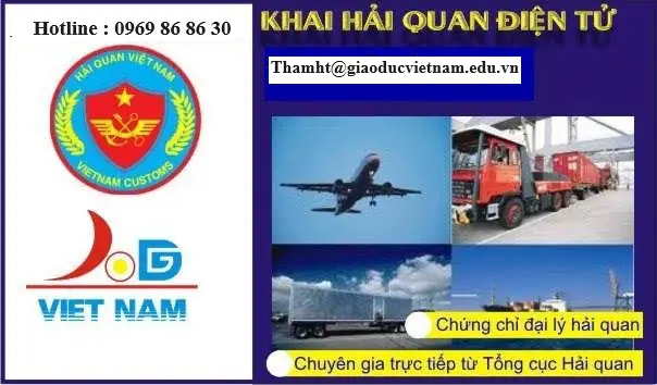 Công Ty Nội Thất Viethoomee: Đánh Giá Chi Tiết Dịch Vụ Và Chất Lượng