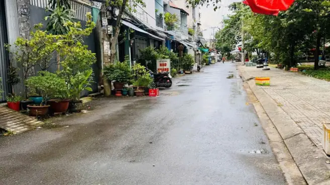 Đánh Giá Công Ty Thế Giới Nội Thất Đường Bông Sao Quận 8: Có Đáng Tin Cậy?