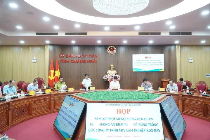 Công Ty Tnhh Mtv Nội Thất Gỗ Sâm Nguyên