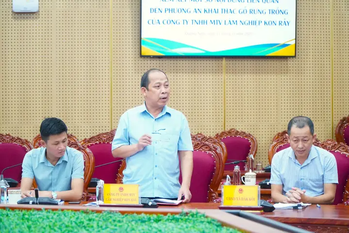 Công Ty Tnhh Mtv Nội Thất Gỗ Sâm Nguyên