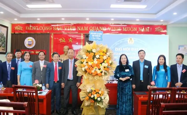 Công Ty Tnhh Mtv Nội Thất Trang Trí At: Đánh Giá Chi Tiết