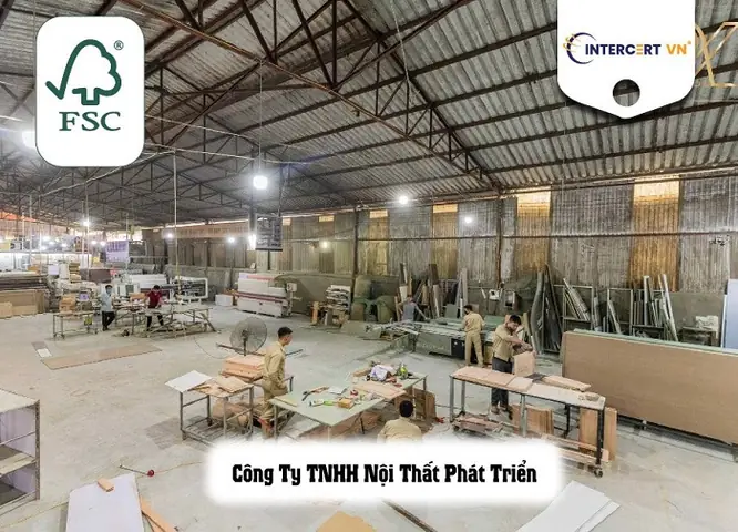 Đánh Giá Chi Tiết Công Ty Tnhh Nội Thất Đào Phát