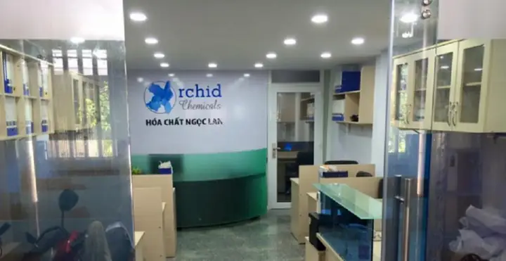 Công Ty Tnhh Nội Thất Ngọc Lan: Đánh Giá Chuyên Sâu Từ A-z