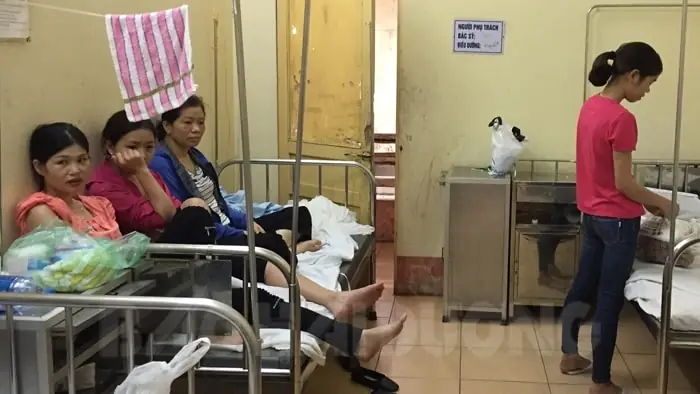 Đánh Giá Công Ty Tnhh Nội Thất Tre Việt: Giải Pháp Xanh Cho Ngôi Nhà Đánh Giá Công Ty Tnhh Nội Thất Tre Việt: Giải Pháp Xanh Cho Ngôi Nhà