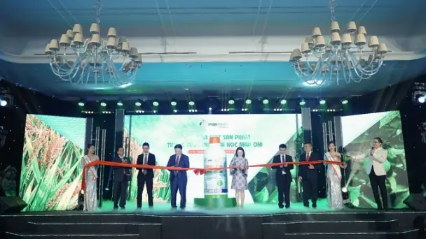 Công Ty Tnhh Nội Thất Và Thiết Kế Anh Túc: Đánh Giá Chi Tiết Công Ty Tnhh Nội Thất Và Thiết Kế Anh Túc: Đánh Giá Chi Tiết