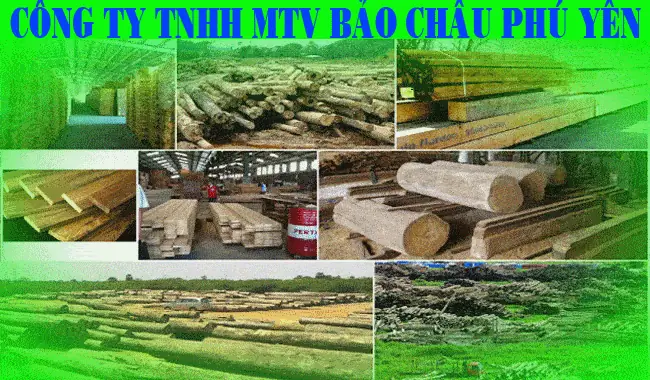 Công Ty Tnhh Thép Và Nội Thất Bảo Châu