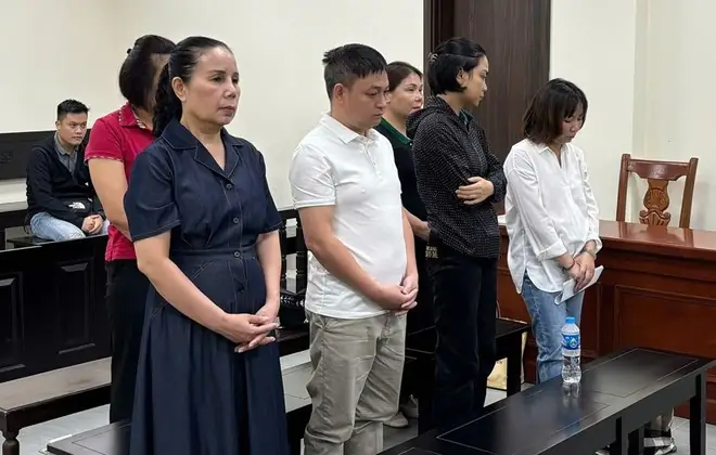 Công Ty Tnhh Thương Mại Nội Thất Ngọc Lâm: Các Lựa Chọn Và Kinh Nghiệm