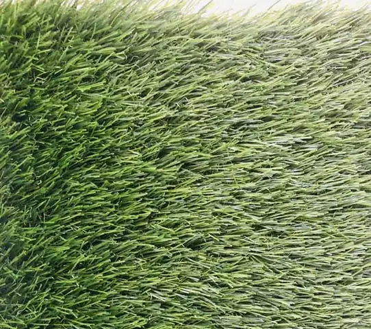 Giới Thiệu Cỏ Nhân Tạo Huế Loại 3cm