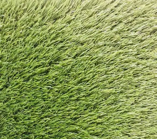Một Số Hình Ảnh Cỏ Nhân Tạo 3cm Tại Vườn Cây Cảnh Huế