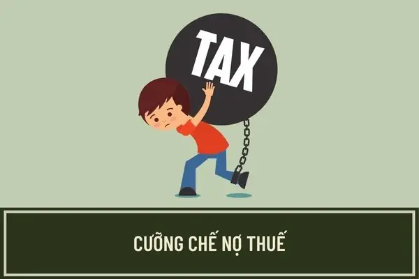 Công Ty Tnhh Trang Trí Nội Thất Cường Khanh: Đánh Giá Chi Tiết Dịch Vụ