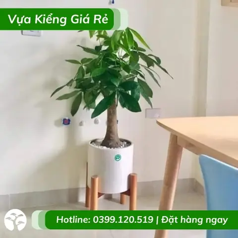 Công Ty Tnhh Trang Trí Nội Thất Kim Ngân