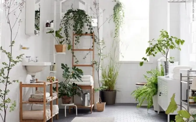 Công Ty Tnhh Trang Trí Nội Thất Mộc Khang