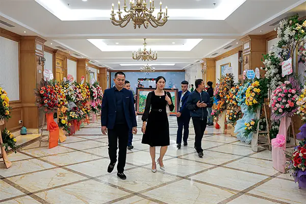 Công Ty Tùng Linh Nội Thất Ý: Đánh Giá Chuyên Sâu Về Chất Lượng Và Phong Cách