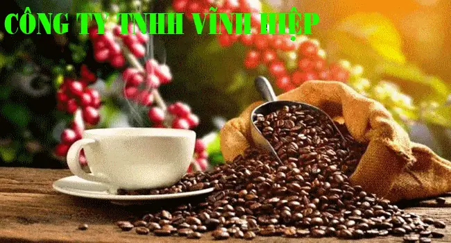 Công Ty Xây Dựng Nội Thất Sanaco Bình Dương