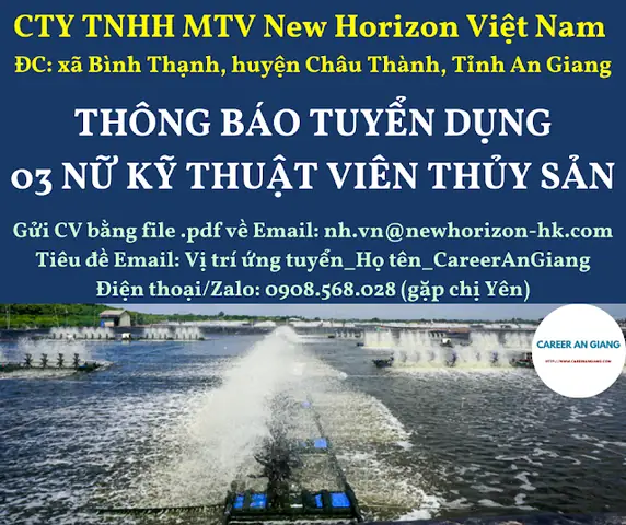 Đánh Giá Chi Tiết Công Ty Nội Thất Sea Song: Có Đáng Tin Cậy?