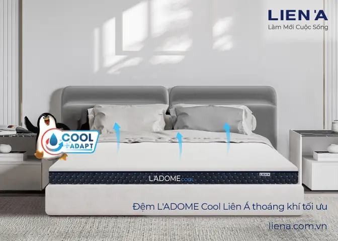Tìm Hiểu Về Cửa Hàng Nội Thất Dome: Có Gì Đặc Biệt?