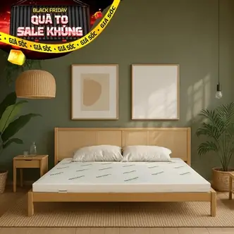 Nệm Cao Su Thiên Nhiên Gummi Classic Thế Hệ Mới Dày 5/10/15cm