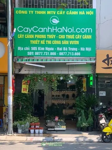Một Số Hình Ảnh Tại Cửa Hàng Địa Chỉ 505 Kim Ngưu, Hai Bà Trưng, Hà Nội