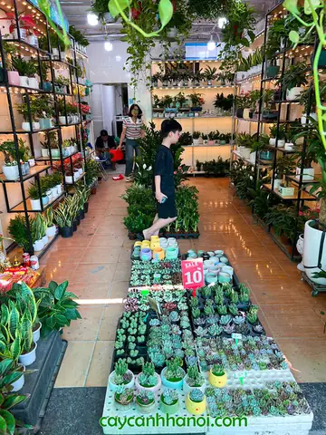 Một Số Hình Ảnh Tại Cửa Hàng Địa Chỉ 505 Kim Ngưu, Hai Bà Trưng, Hà Nội
