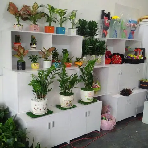 Khang Việt Furniture (nội Thất Hào Quang)