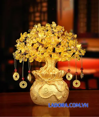 Ý Nghĩa Phong Thủy Của Cây Tiền Vàng Tài Lộc Decor Trang Trí Nội Thất Nhà Đẹp