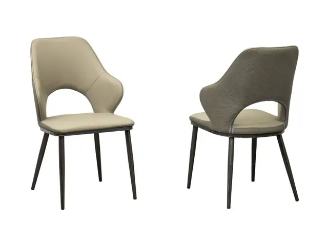 Ghế Ăn Hiện Đại Gaa370