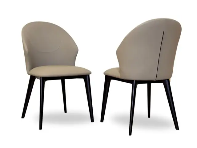 Ghế Ăn Hiện Đại Gac21