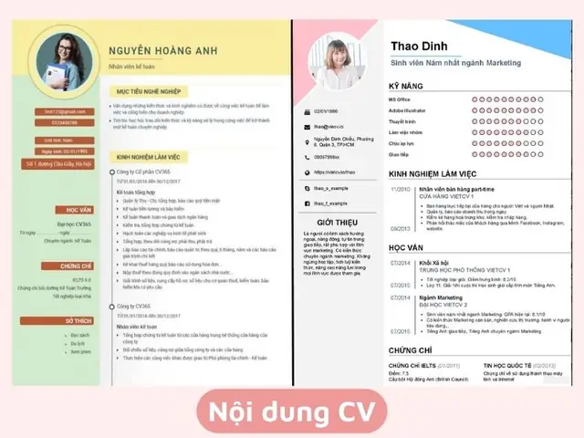 Bao Gồm Những Gì?