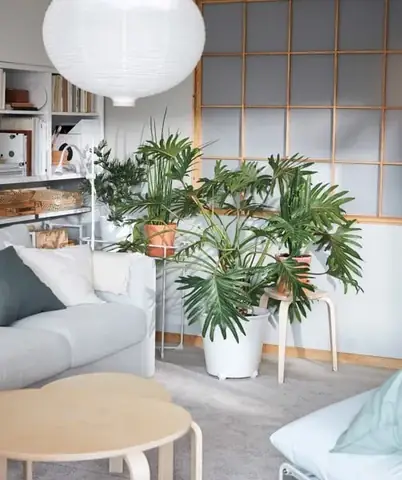 Nội Thất Cơ Bản Cho Phòng Khách Nội Thất Cơ Bản Cho Phòng Khách