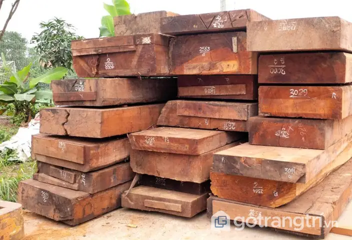[tìm Hiểu] Gỗ Gụ Là Gì? Ứng Dụng Dòng Gỗ Gụ Trong Sản Xuất Nội Thất 2019