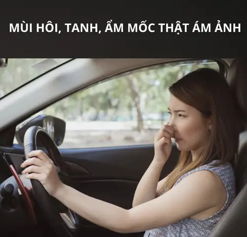 Đã Bao Lâu Bạn Chưa Dọn Nội Thất, Bảo Dưỡng Ô Tô?