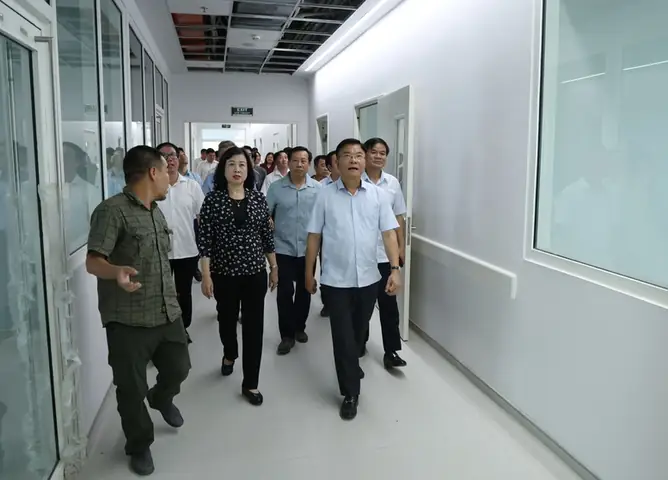 Dự Án Mới Của Vnp Group Về Nội Thất: Khám Phá Tiềm Năng Và Xu Hướng