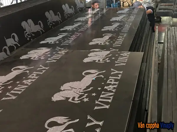 Chi Tiết Sản Phẩm