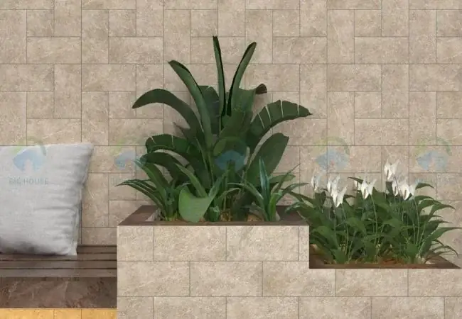 Ứng Dụng Của Gạch Ốp Tường 100×200