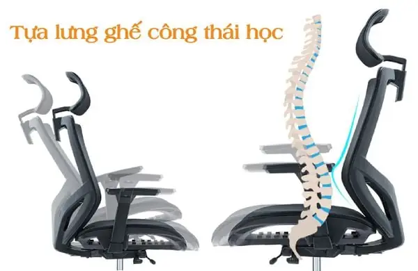 Ghế Dựa Nội Thất B&g