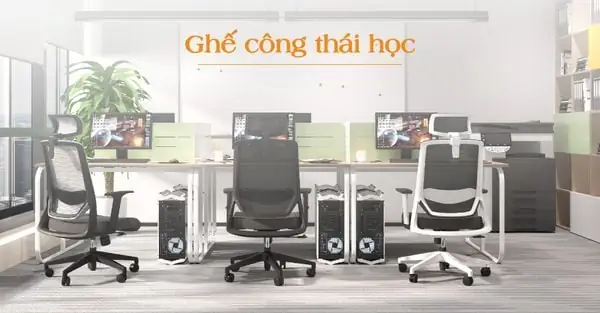 Ghế Giám Đốc Công Thái Học (ergonomic)