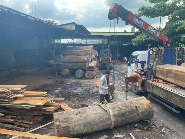 Lịch Sử Hình Thành