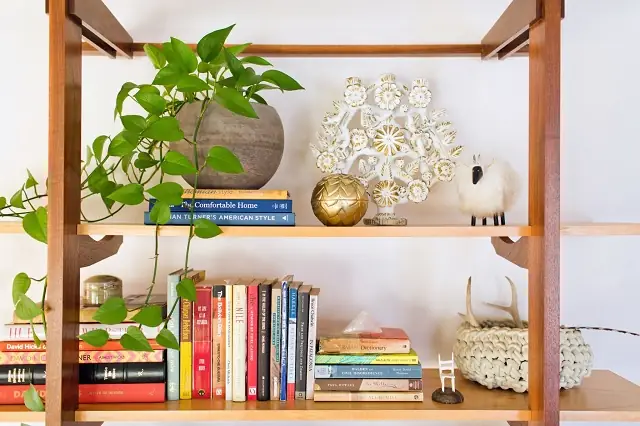Trang Trí Kệ Sách Với Cây Giả