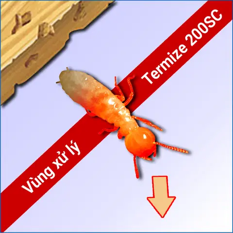 Đặc Điểm Và Tính Năng Đặc Điểm Và Tính Năng