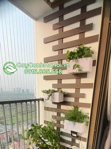 Thiết Kế Thi Công Giàn Treo Hoa Ban Công Theo Yêu Cầu Thiết Kế Thi Công Giàn Treo Hoa Ban Công Theo Yêu Cầu