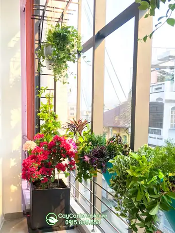 Giàn Treo Cây Ban Công Bằng Sắt Giàn Treo Cây Ban Công Bằng Sắt