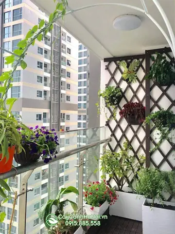 Tổng Hợp Các Mẫu Giàn Treo Hoa Ban Công Tổng Hợp Các Mẫu Giàn Treo Hoa Ban Công