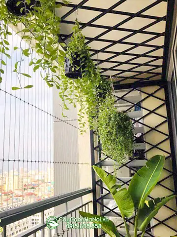 Giàn Treo Cây Ban Công Bằng Sắt Giàn Treo Cây Ban Công Bằng Sắt