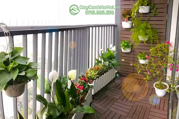 Giàn Trồng Cây Ban Công Chung Cư Giàn Trồng Cây Ban Công Chung Cư