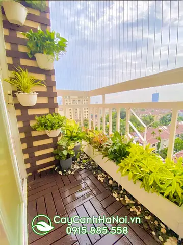 Thiết Kế Thi Công Giàn Treo Hoa Ban Công Theo Yêu Cầu Thiết Kế Thi Công Giàn Treo Hoa Ban Công Theo Yêu Cầu