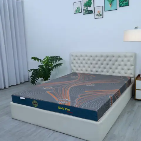 Sơn Nội Thất Gold Pro: Lựa Chọn Lý Tưởng Cho Ngôi Nhà Của Bạn?