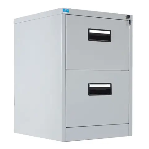 Tủ File Tài Liệu 2 Ngăn Tu2f